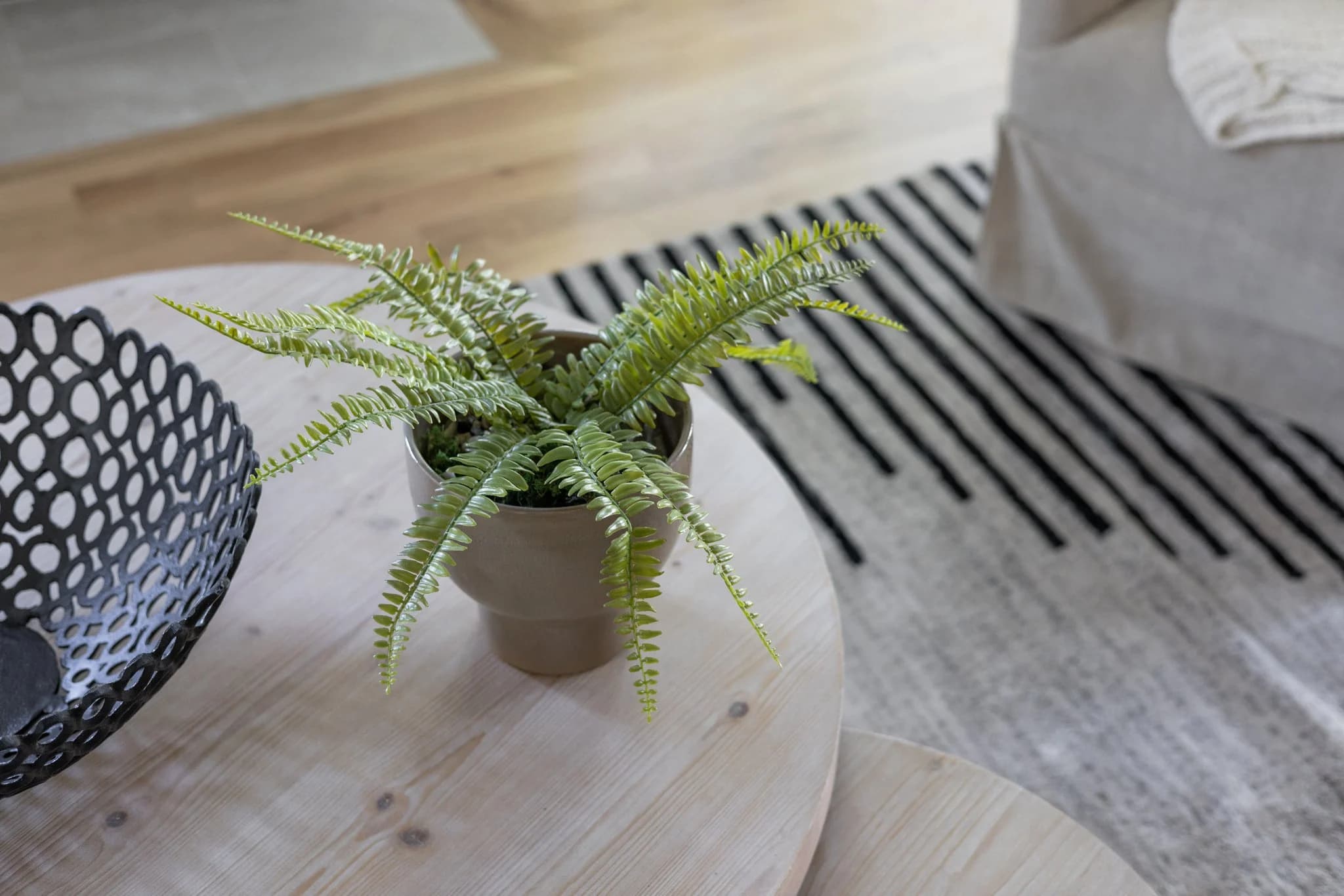 Potted fern and a black woven bowl on a whitewashed coffee table over a striped rug